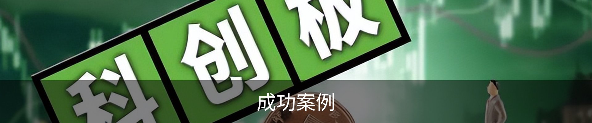 成功案例